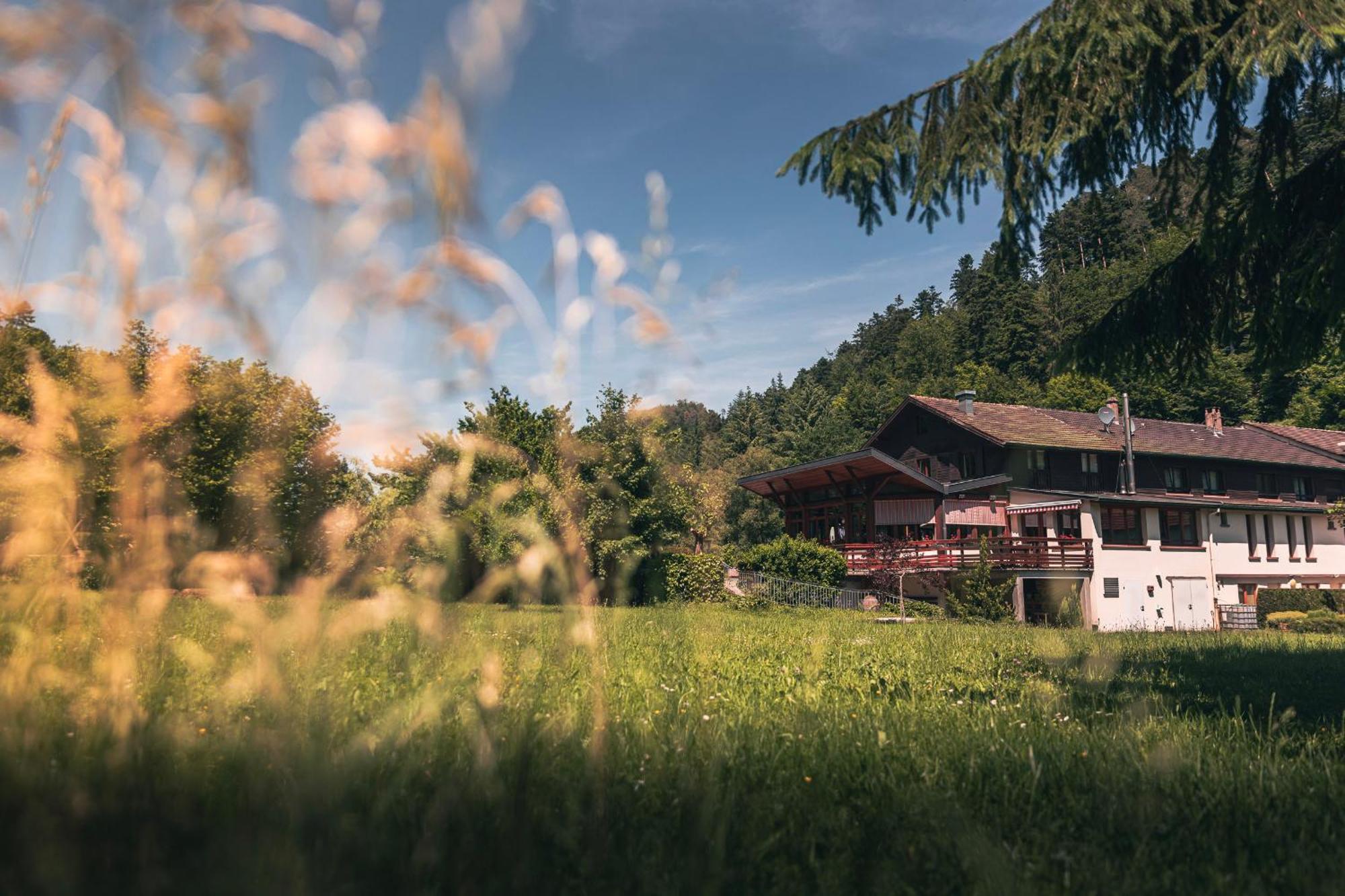 Hotel Au Vieux Moulin Graufthal Dış mekan fotoğraf